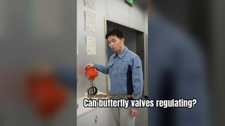 บอลปีกผีเสื้อสามารถควบคุมการไหล-วาล์วป้องกันการระเบิดสำหรับพื้นที่อันตรายได้